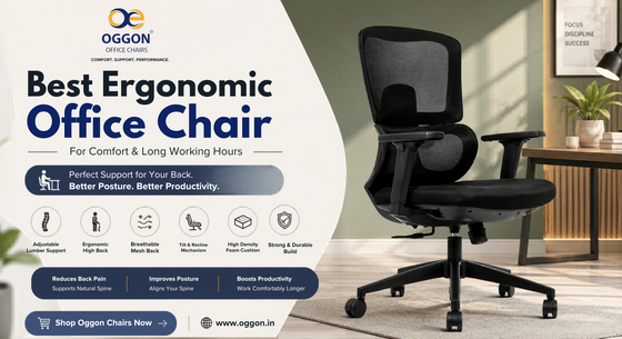 Best Ergonomic Office Chair for Comfort and Long Working Hours in India