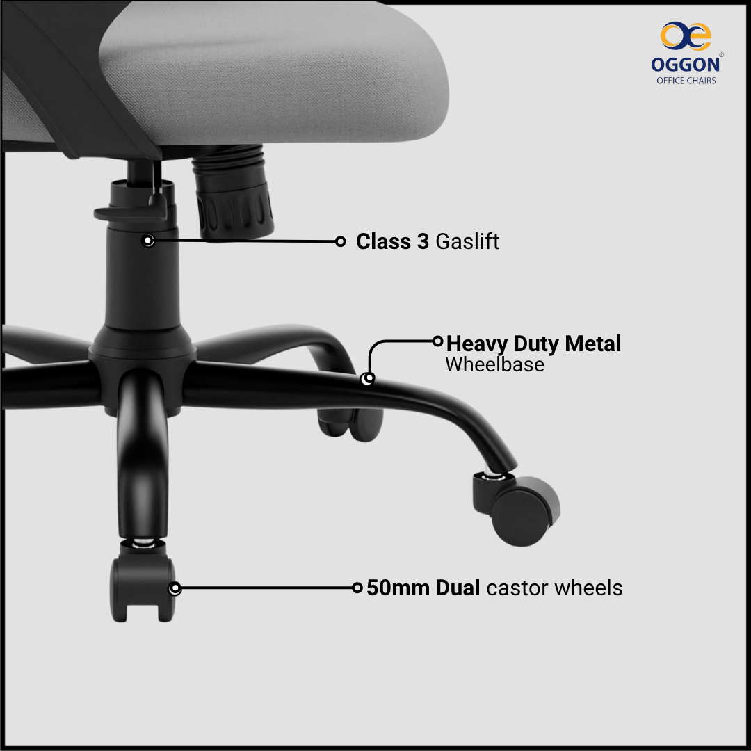 OGGON Ergolux Orthopedic Ergonomic Office Chair – Mesh Back