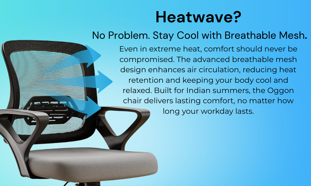 OGGON Ergolux Orthopedic Ergonomic Office Chair – Mesh Back