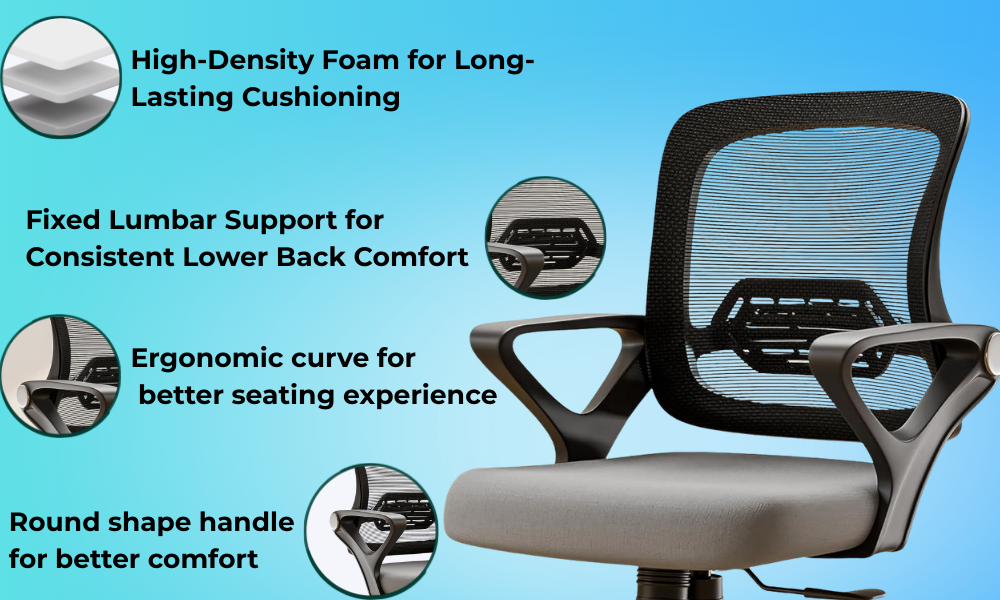 OGGON Ergolux Orthopedic Ergonomic Office Chair – Mesh Back
