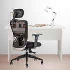 Oggon Victoria Ergonomic Mesh Office Chair with High Back